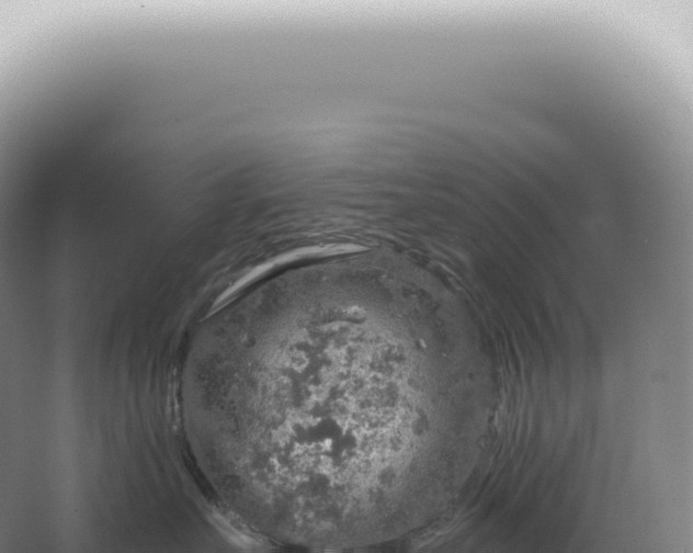 X0000067470527200604142353