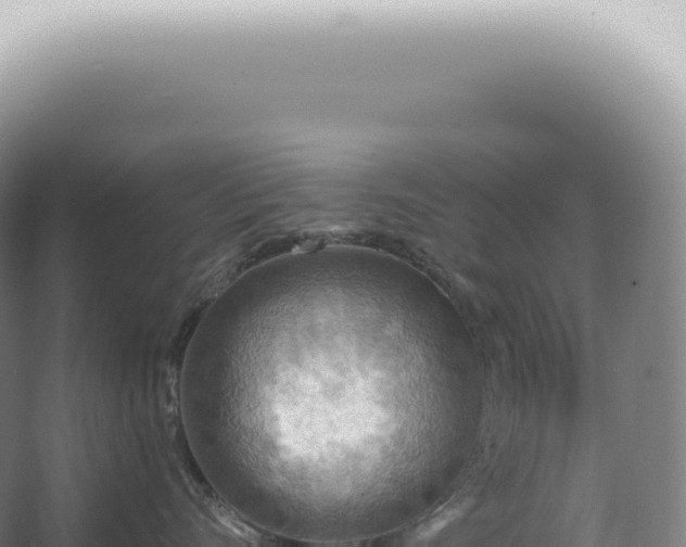 X0000067470528200604142353