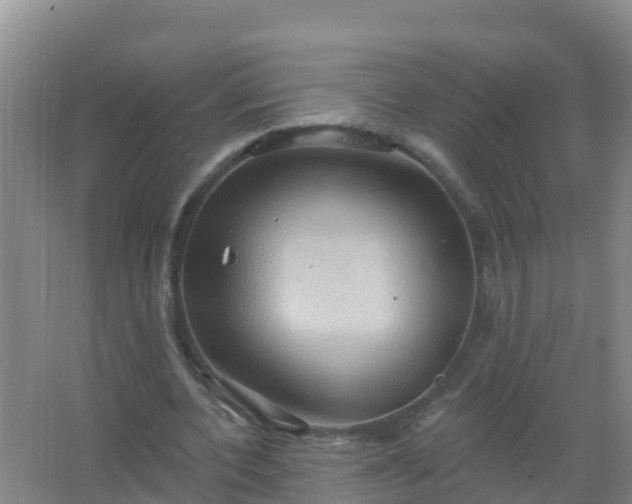 X0000067470532200604142353