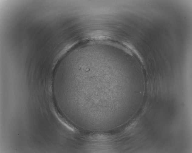 X0000067470533200604142353