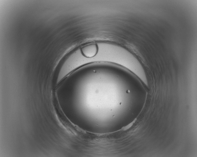 X0000067470534200604142353