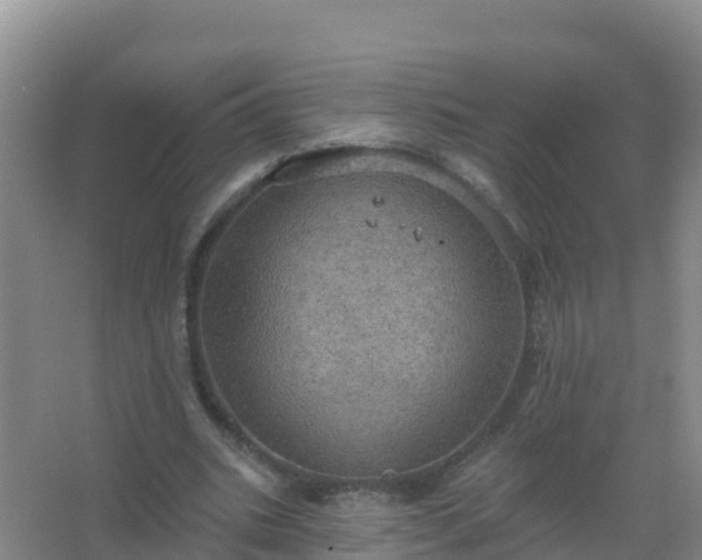 X0000067470535200604142353