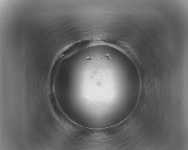 X0000067470536200604142353