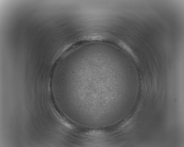 X0000067470537200604142353