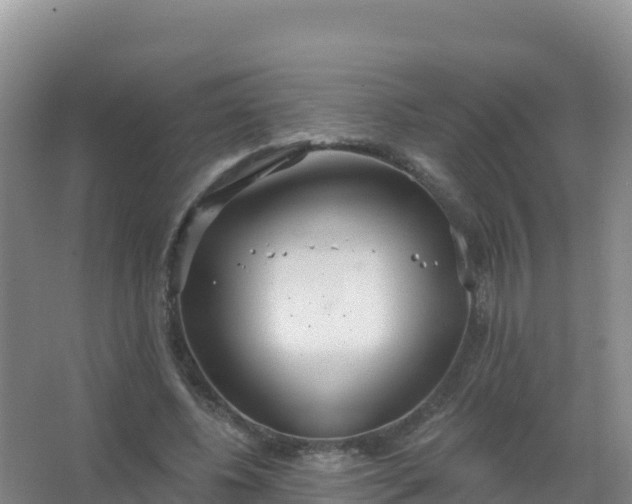 X0000067470540200604142353