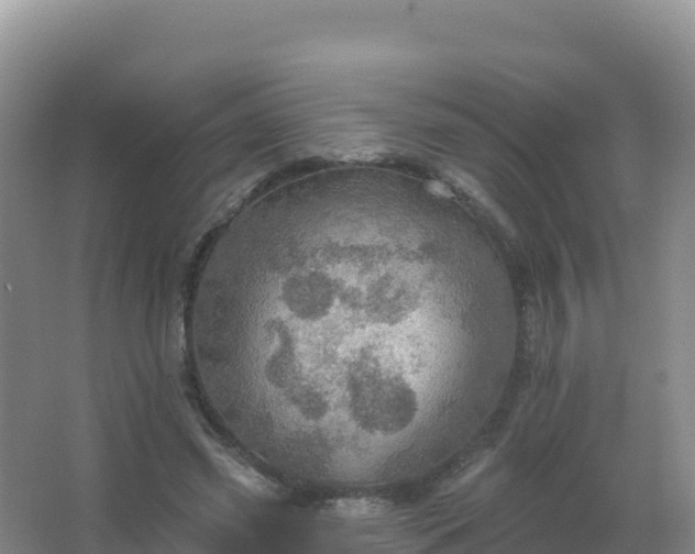 X0000067470541200604142353