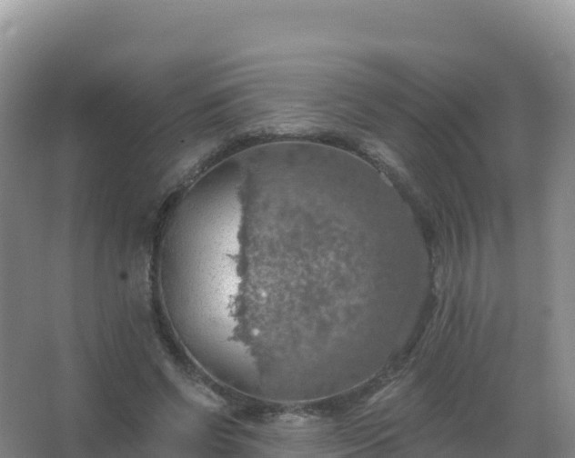 X0000067470542200604142353