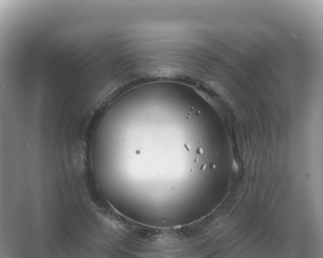 X0000067470544200604142353