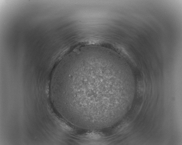 X0000067470545200604142353