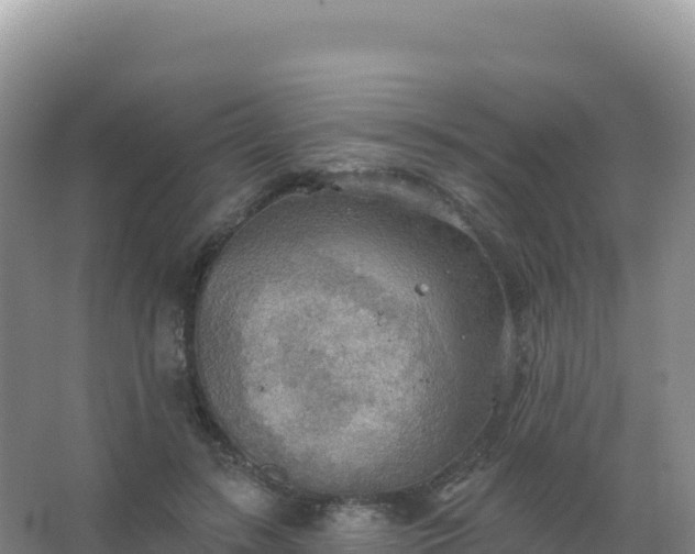 X0000067470547200604142353