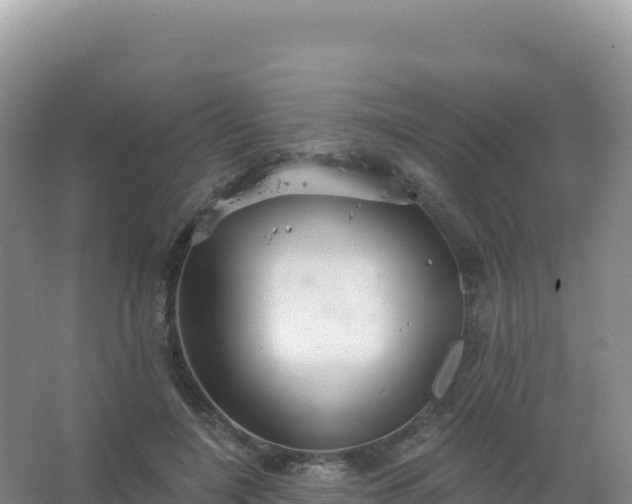 X0000067470548200604142353