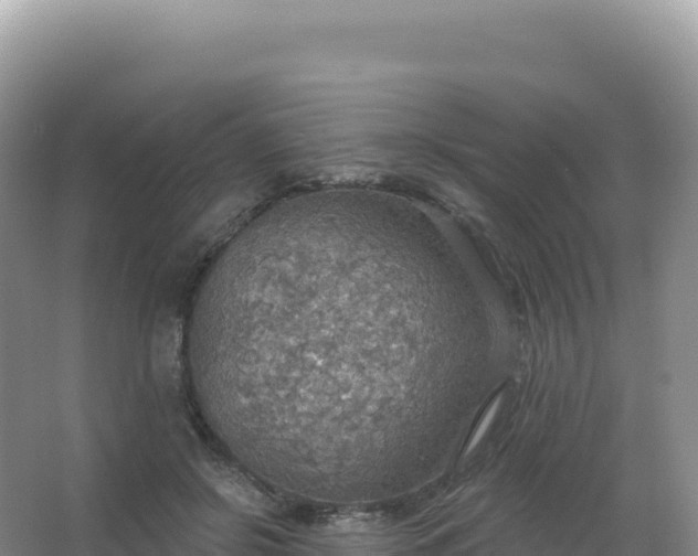 X0000067470550200604142353