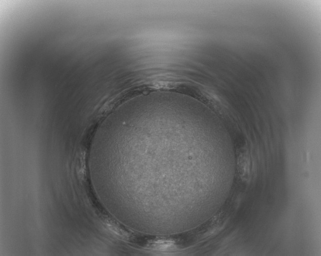 X0000067470554200604142353