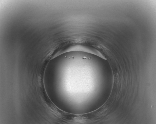 X0000067470556200604142353