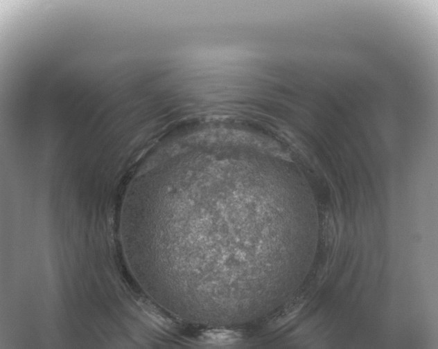 X0000067470557200604142353