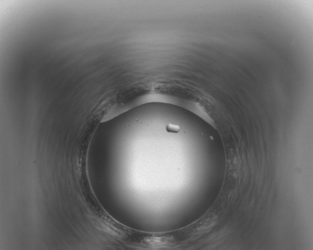 X0000067470558200604142353