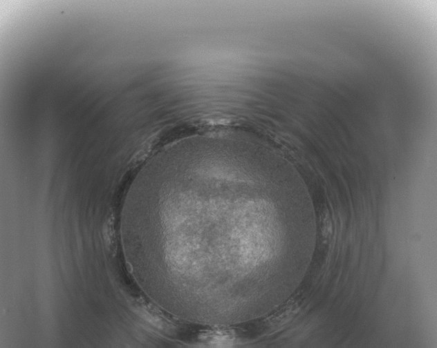 X0000067470559200604142353