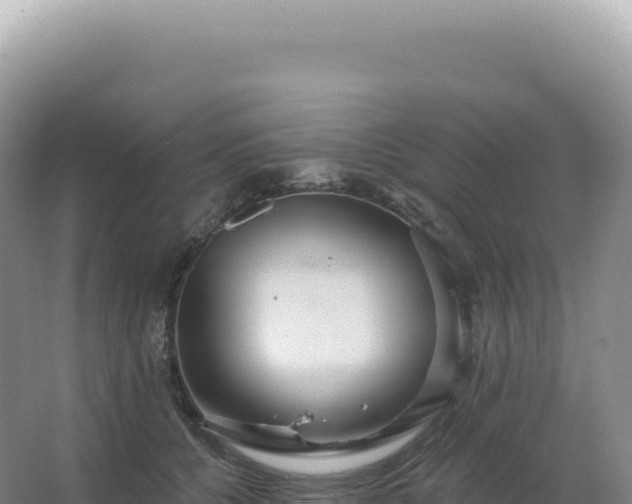 X0000067470560200604142353