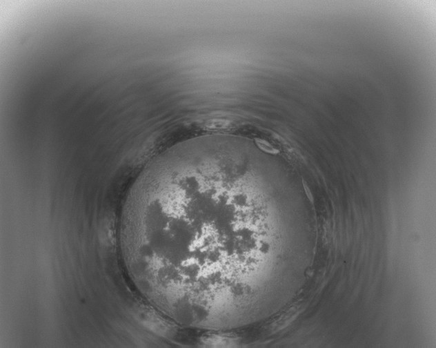 X0000067470561200604142353