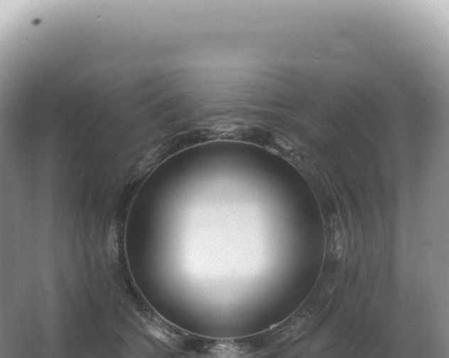 X0000067470562200604142353