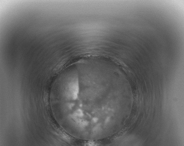 X0000067470565200604142353