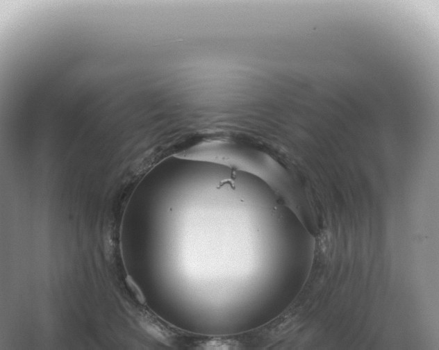 X0000067470566200604142353