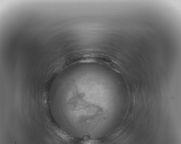 X0000067470567200604142353