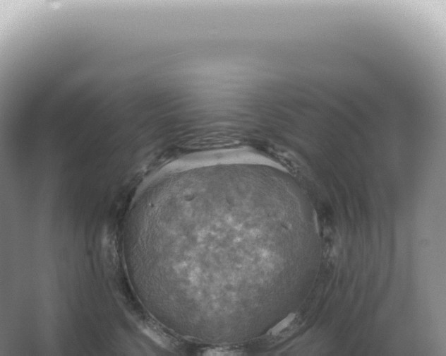 X0000067470568200604142353