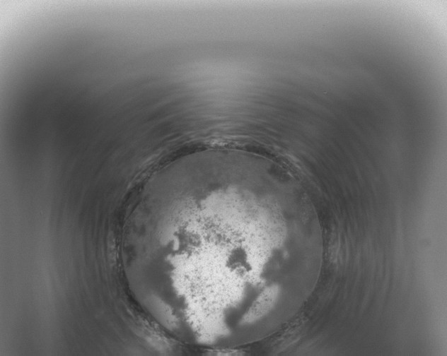 X0000067470569200604142353