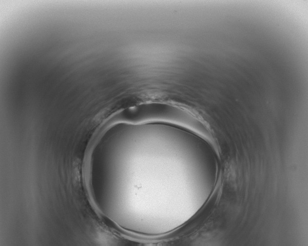 X0000067470570200604142353