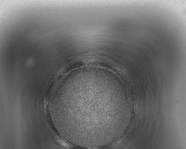 X0000067470574200604142353