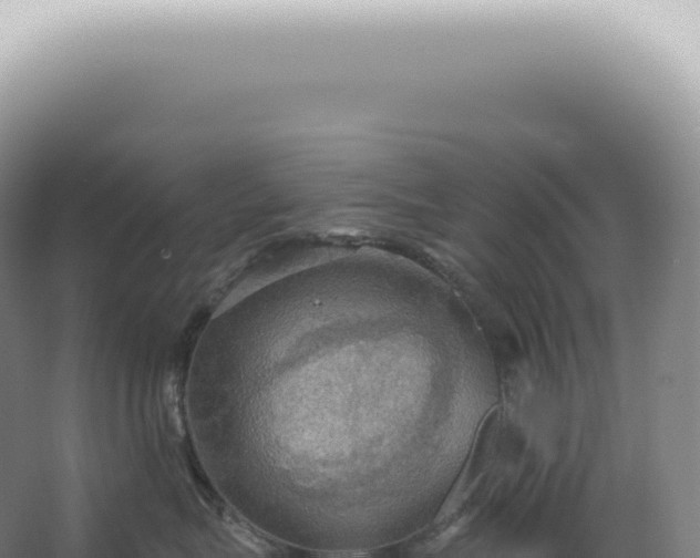 X0000067470575200604142353