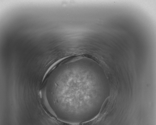 X0000067470576200604142353