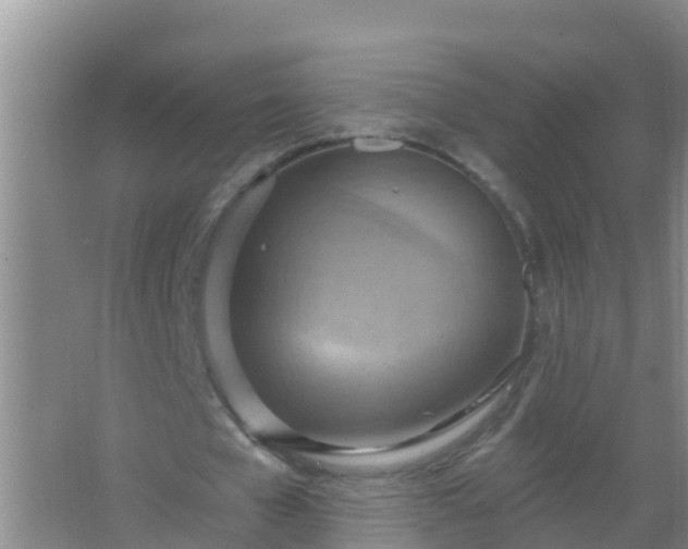 X0000067470577200604142353