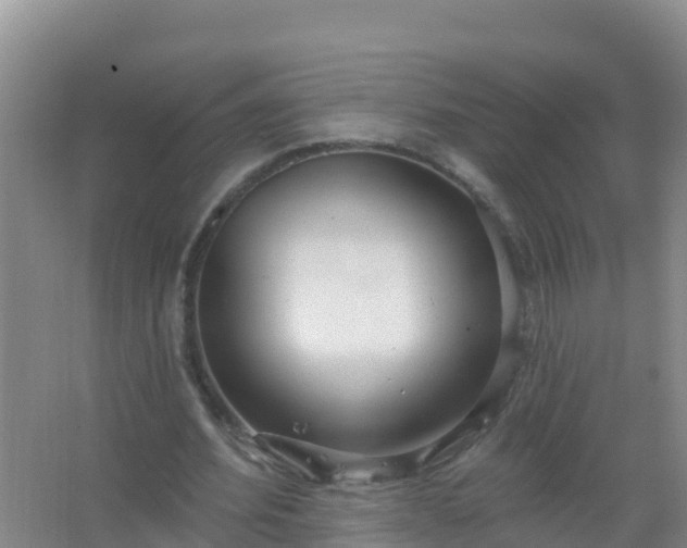 X0000067470580200604142352