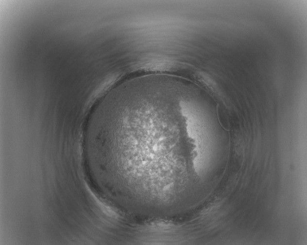 X0000067470586200604142352