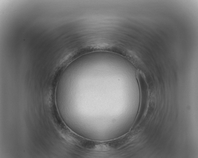 X0000067470591200604142352