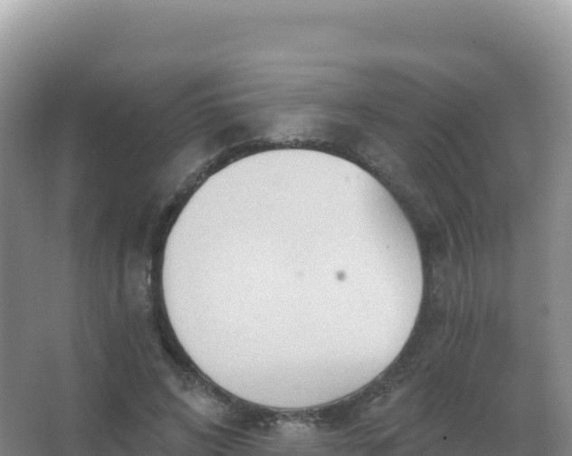 X0000067470592200604142352