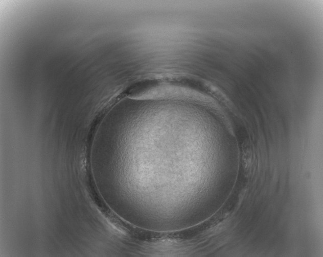 X0000067470593200604142352