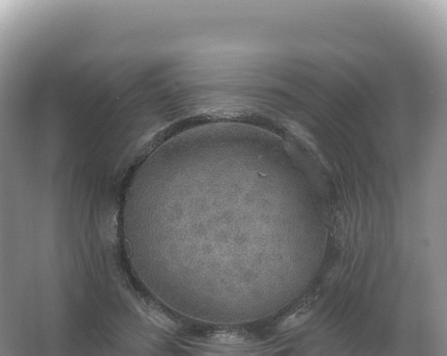 X0000067470596200604142352