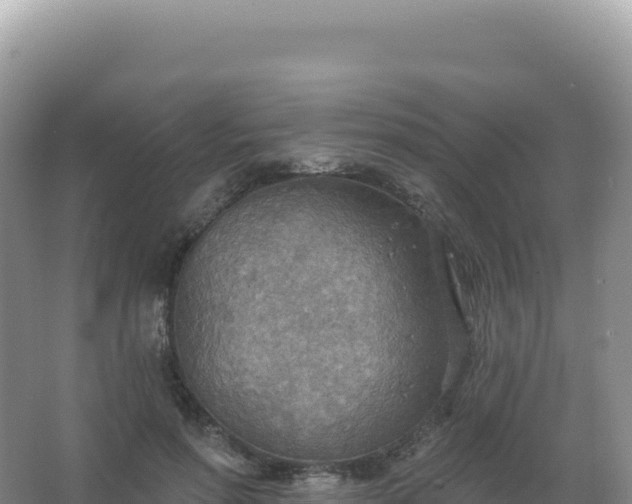 X0000067470598200604142352