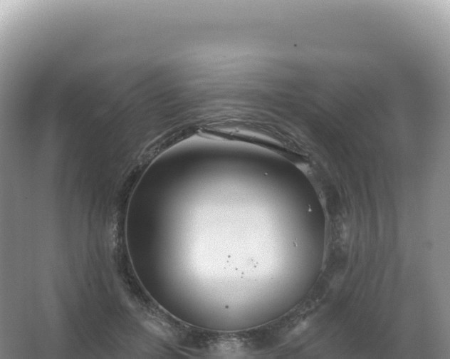 X0000067470600200604142352