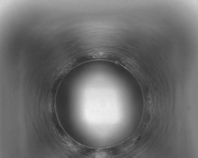 X0000067470604200604142352