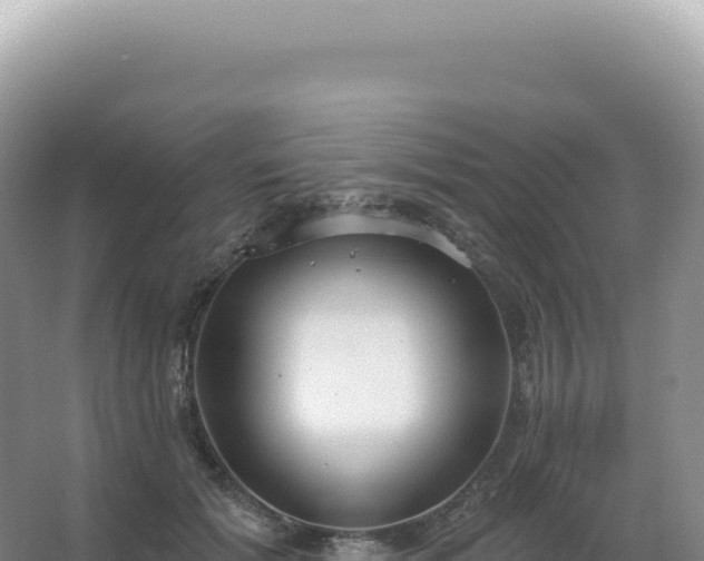 X0000067470605200604142352