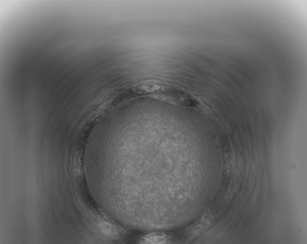 X0000067470606200604142352