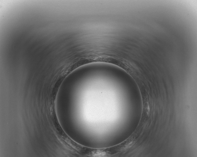 X0000067470607200604142352