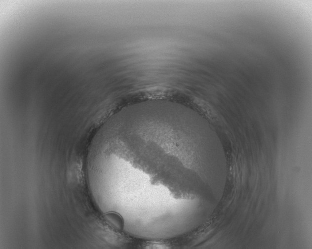 X0000067470610200604142352