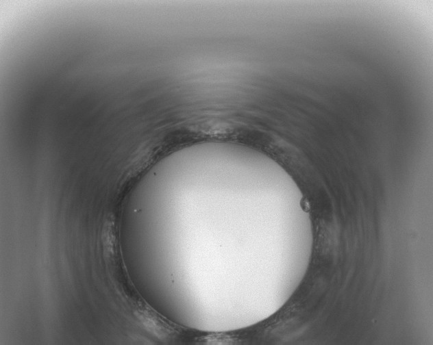 X0000067470612200604142352