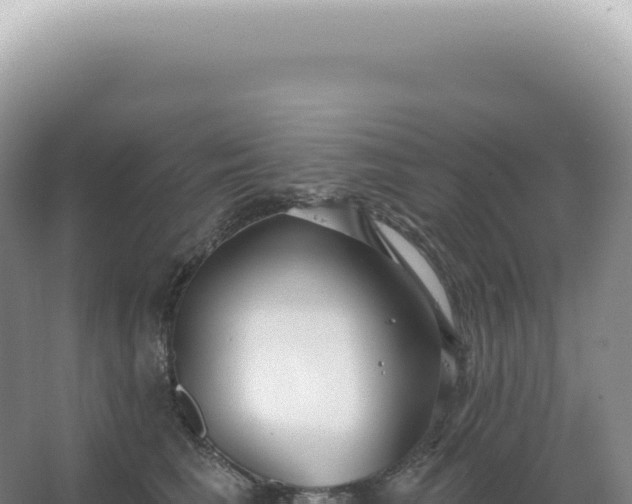 X0000067470613200604142352