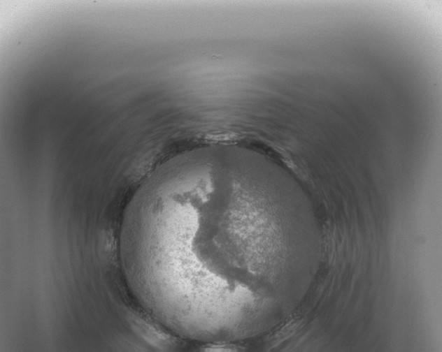 X0000067470614200604142352